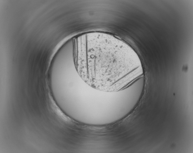 X0000112781140200909171330