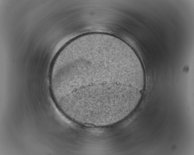 X0000112781141200909171330