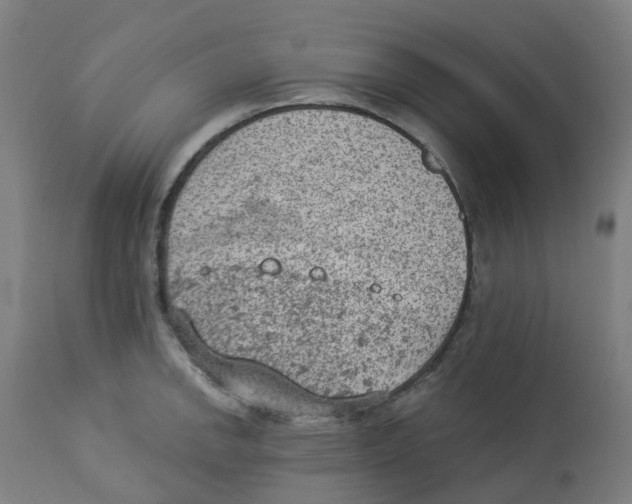 X0000112781142200909171330