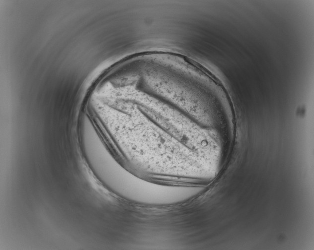 X0000112781144200909171330