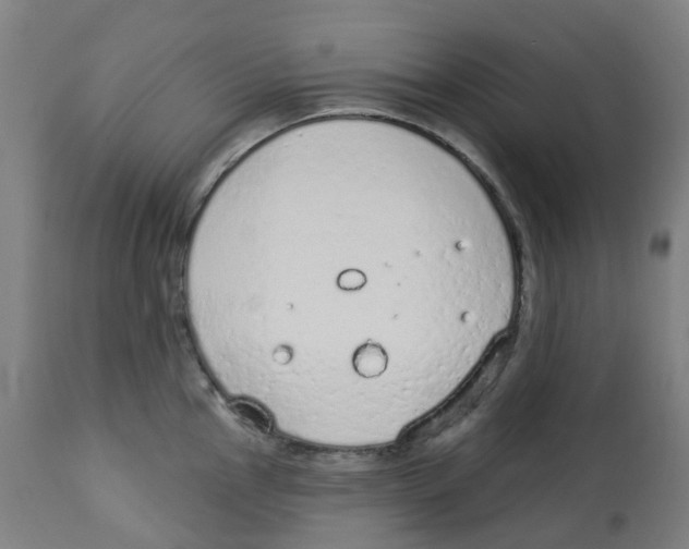 X0000112781145200909171330