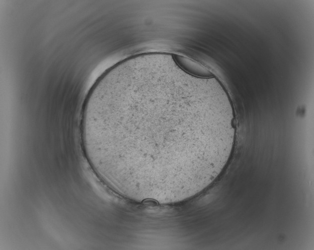 X0000112781146200909171330