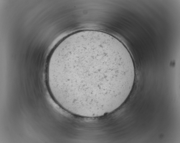 X0000112781147200909171330