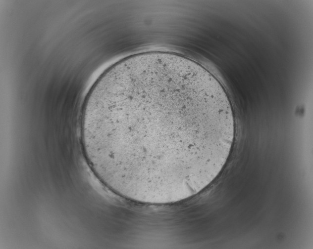 X0000112781148200909171330