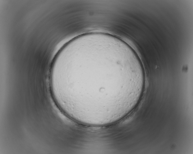 X0000112781149200909171330