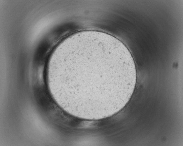 X0000112781150200909171330