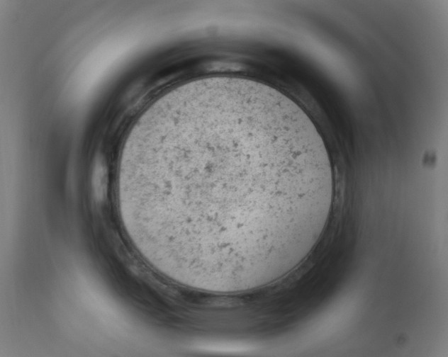 X0000112781151200909171331