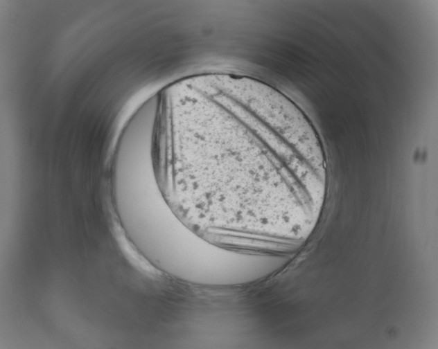 X0000112781152200909171331