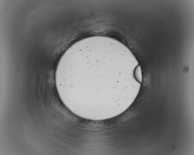 X0000112781156200909171330