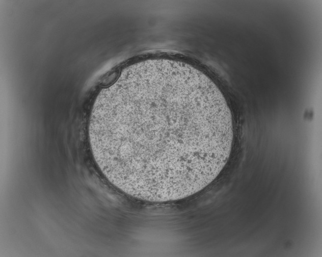 X0000112781159200909171330