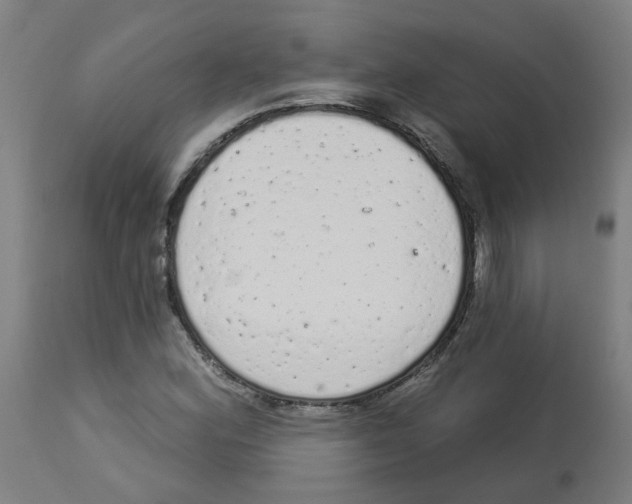 X0000112781164200909171330