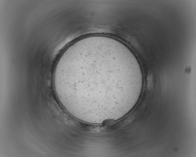 X0000112781165200909171330