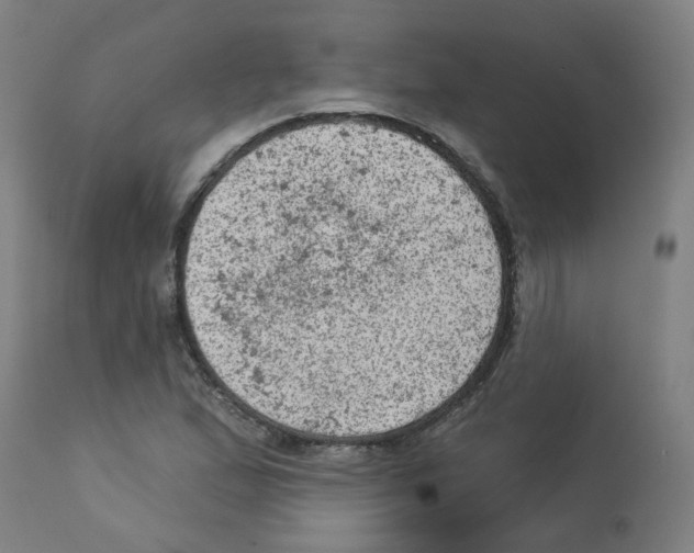 X0000112781167200909171330