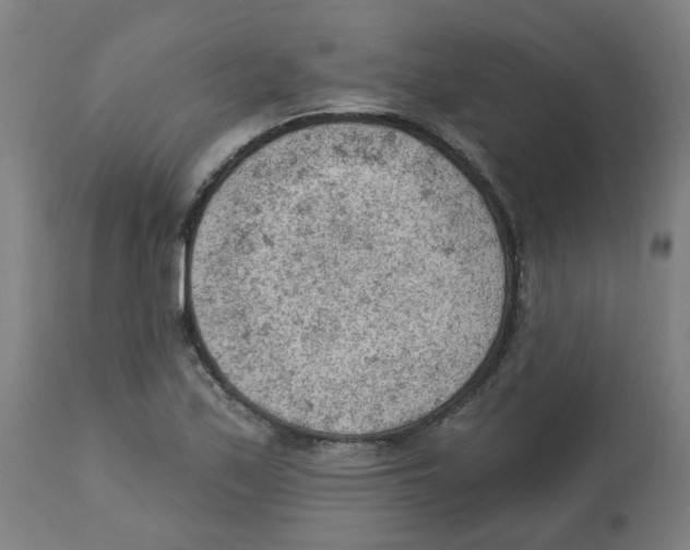 X0000112781171200909171330