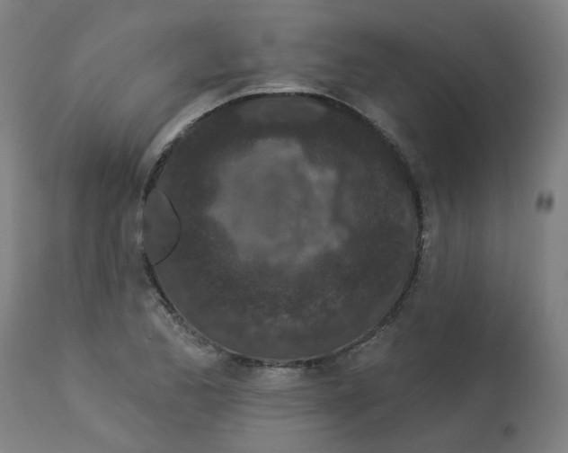 X0000112781173200909171330