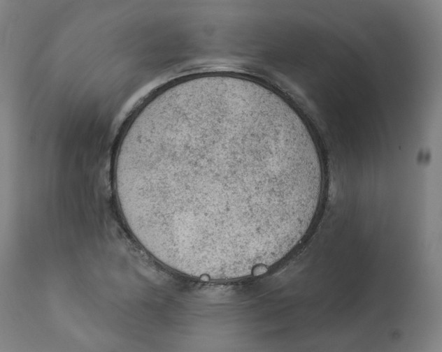 X0000112781174200909171330