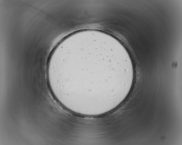 X0000112781176200909171330