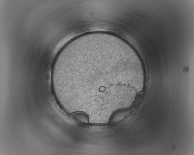 X0000112781179200909171330