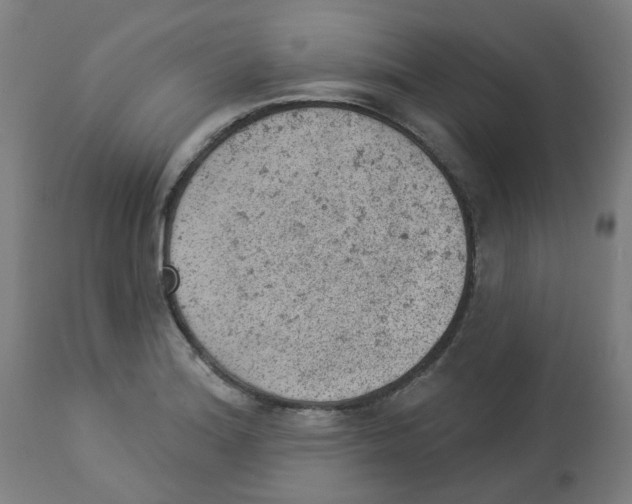 X0000112781180200909171329