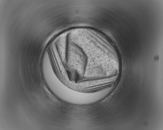 X0000112781181200909171329