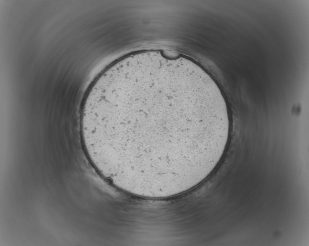 X0000112781184200909171329