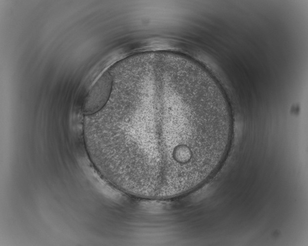 X0000112781185200909171329