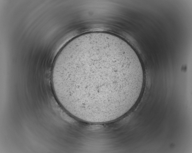 X0000112781186200909171329