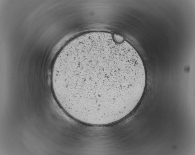 X0000112781188200909171329