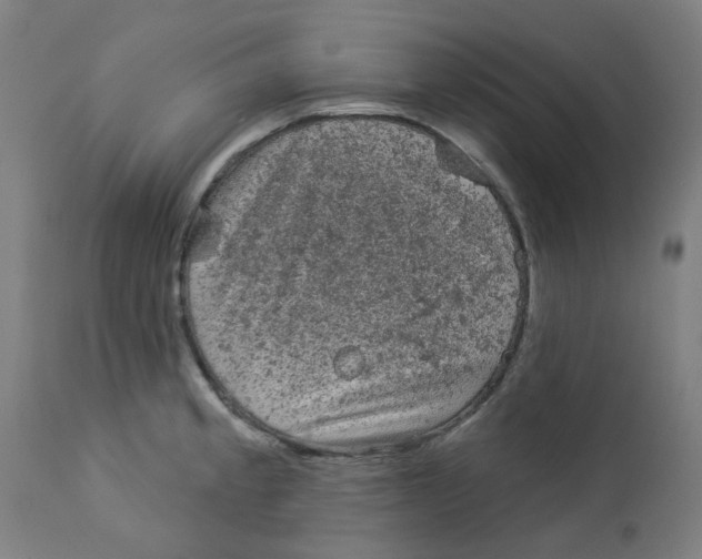 X0000112781189200909171329