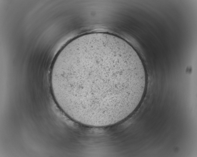 X0000112781190200909171329