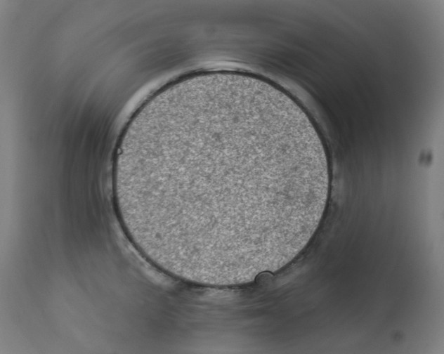 X0000112781191200909171329