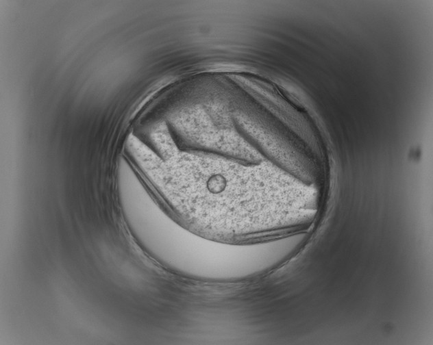 X0000112781193200909171329