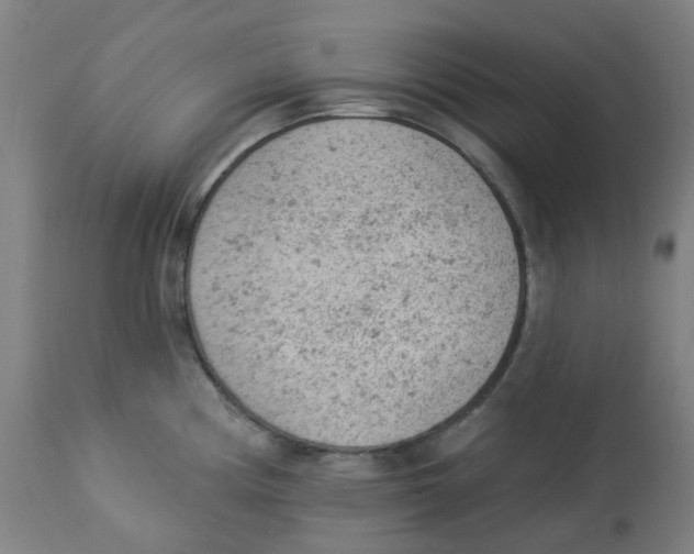 X0000112781194200909171329