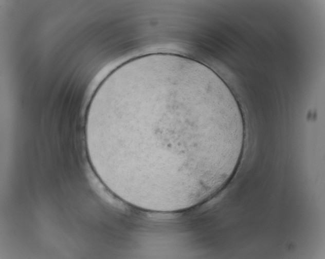 X0000112781200200909171329