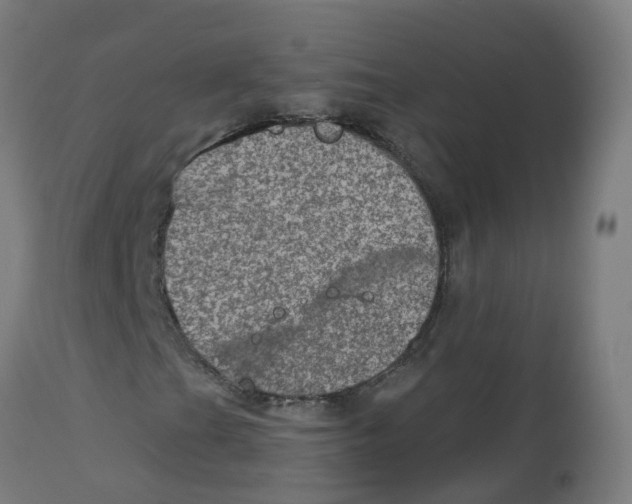 X0000112781201200909171329