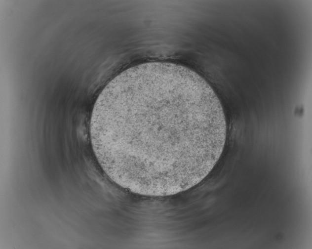 X0000112781202200909171329