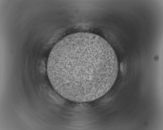 X0000112781203200909171329