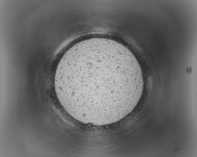 X0000112781208200909171329