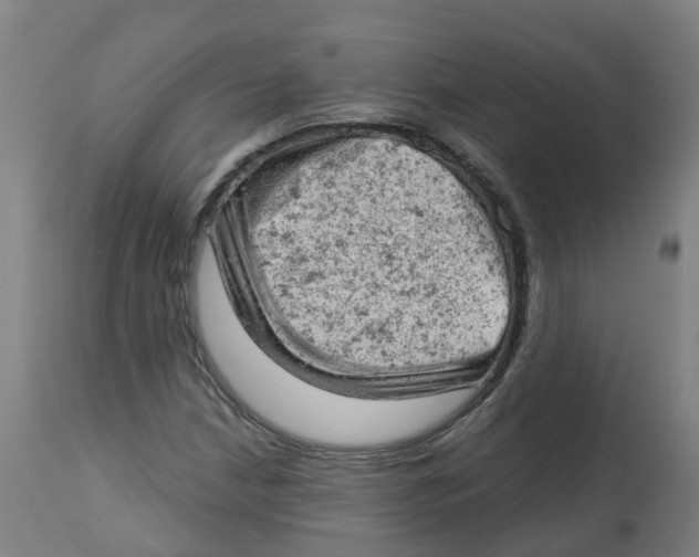 X0000112781210200909171329