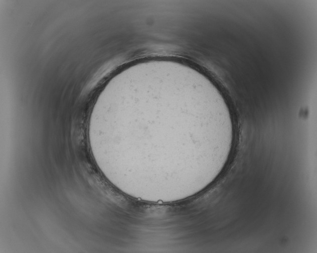 X0000112781211200909171329