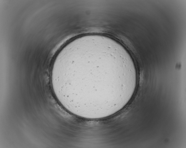 X0000112781212200909171329