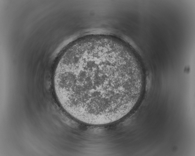 X0000112781213200909171329