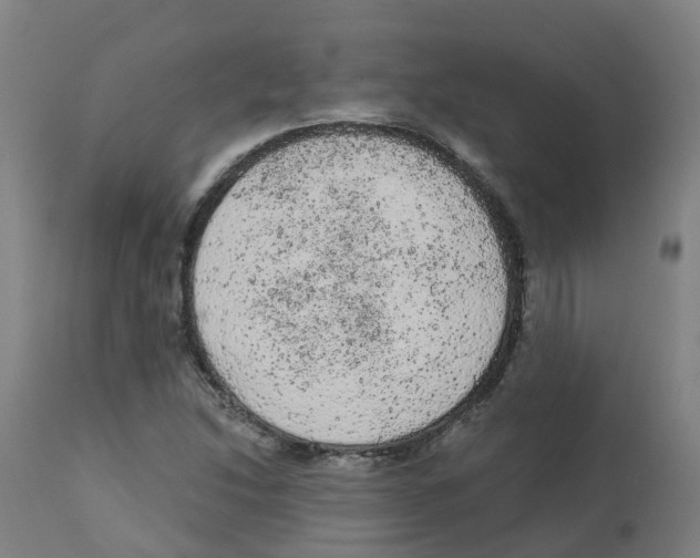 X0000112781214200909171329