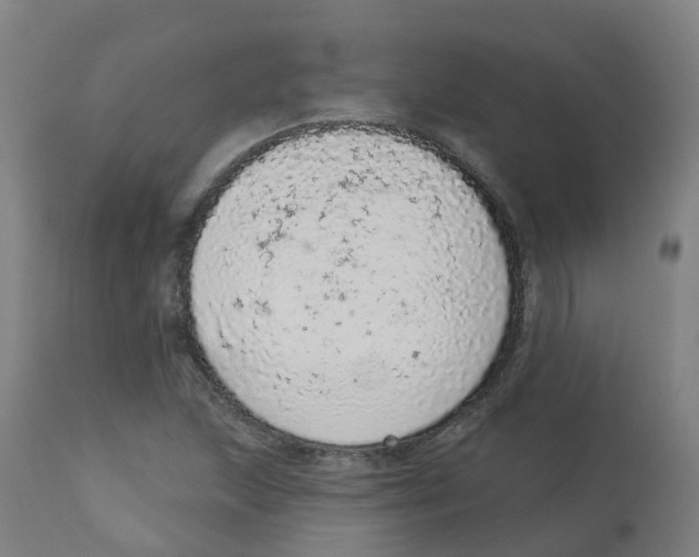 X0000112781215200909171329