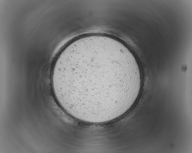 X0000112781216200909171329