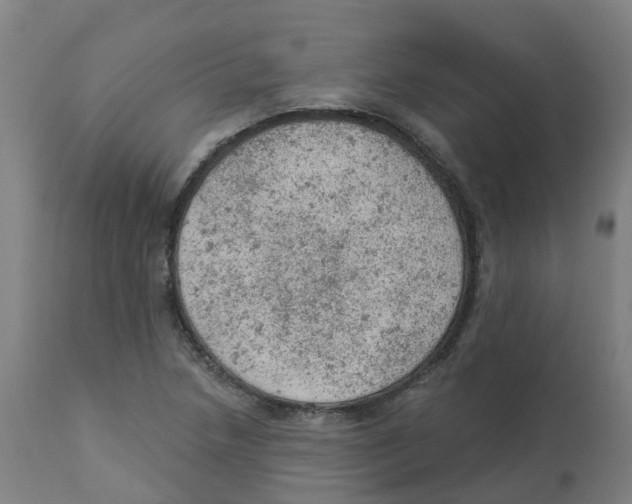 X0000112781218200909171329