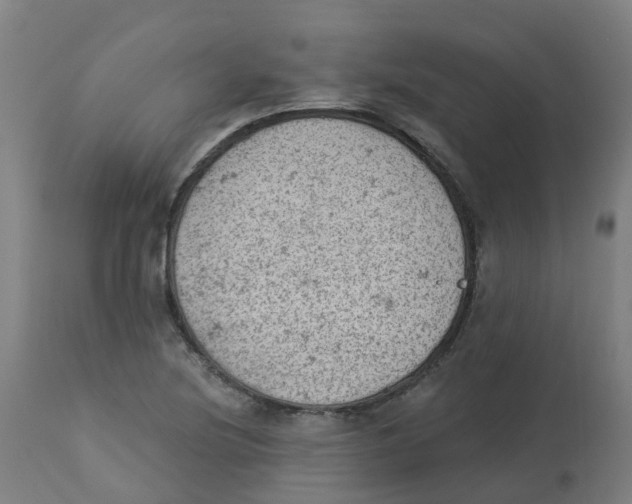 X0000112781220200909171329