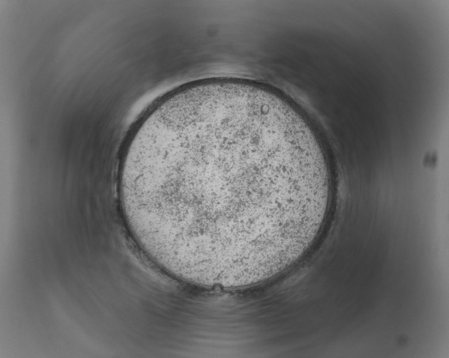 X0000112781222200909171329