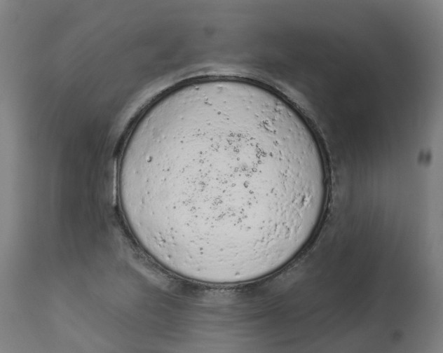 X0000112781223200909171329