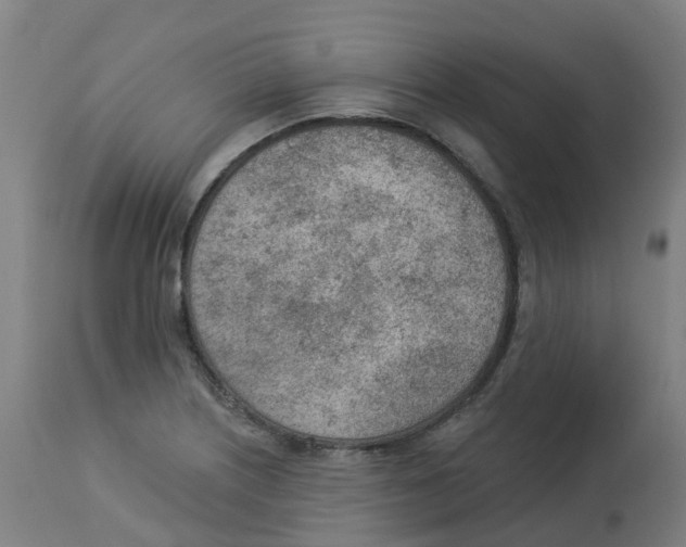 X0000112781226200909171329